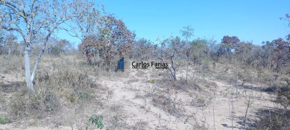 Chácara, 2 hectares - Foto 13