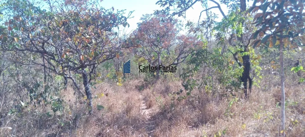 Chácara, 2 hectares - Foto 10