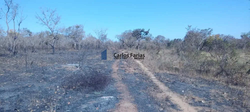 Chácara, 2 hectares - Foto 15