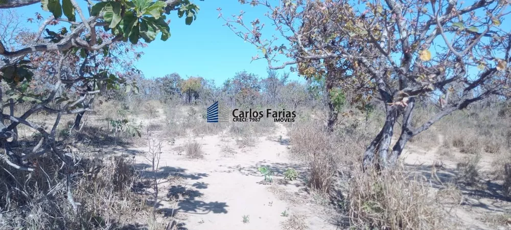 Chácara, 2 hectares - Foto 4