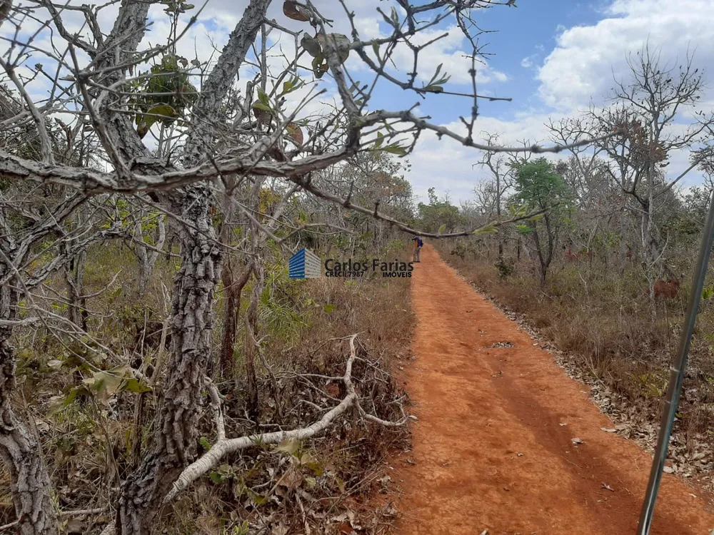 Chácara, 2 hectares - Foto 16