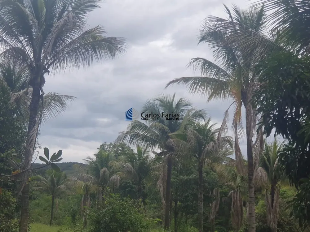 Fazenda, 400 m² - Foto 14
