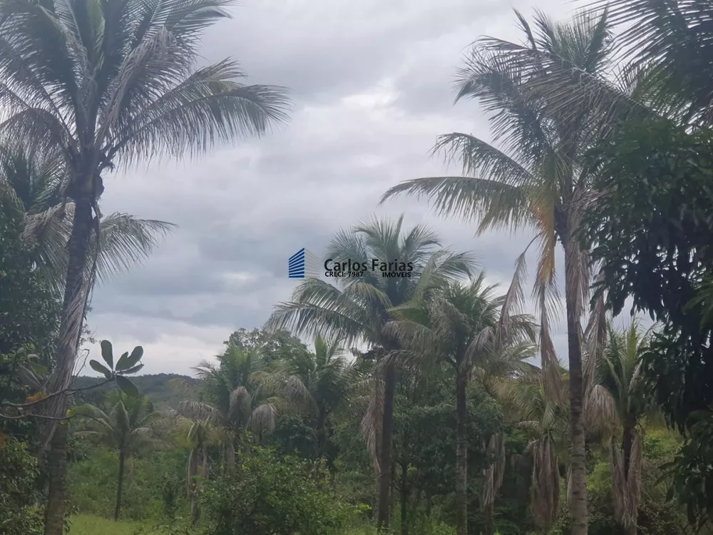 Fazenda, 400 m² - Foto 1