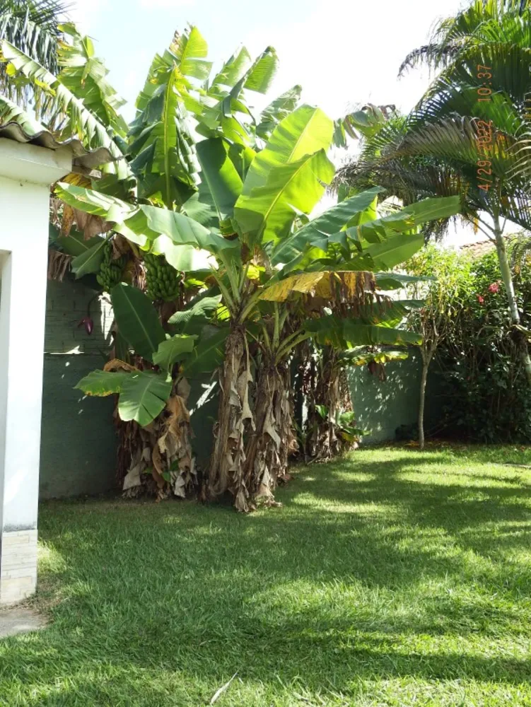 Chácara, 3 quartos, 300 m² - Foto 2