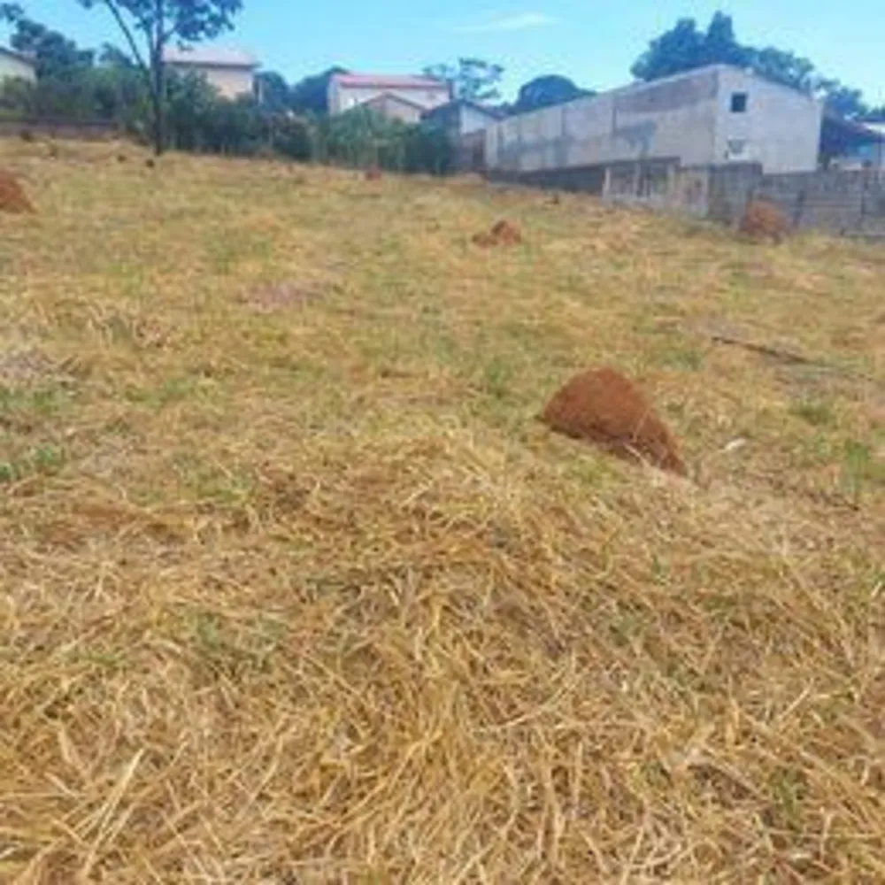Terreno, 1000 m² - Foto 2