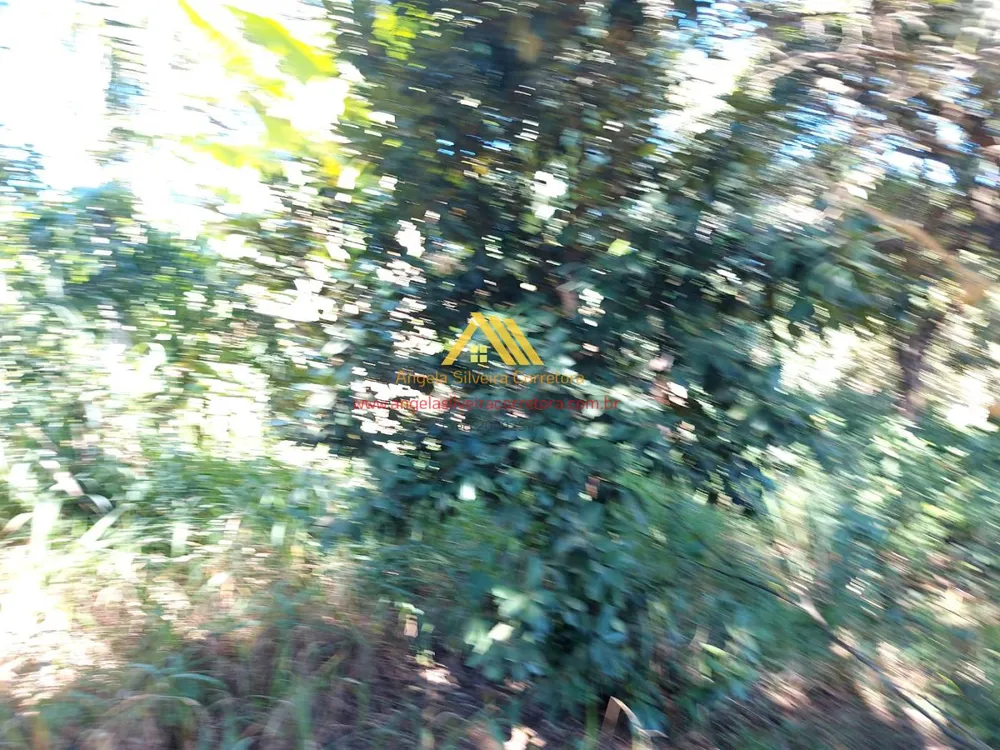 Terreno, 1000 m² - Foto 3