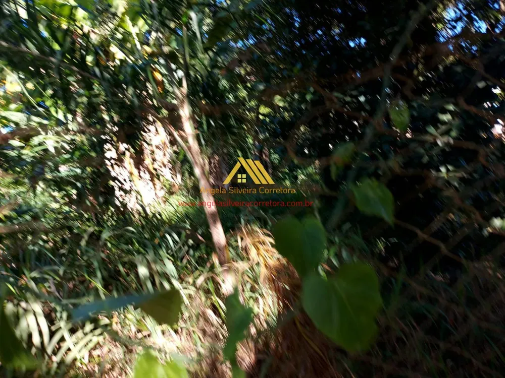 Terreno, 1000 m² - Foto 2