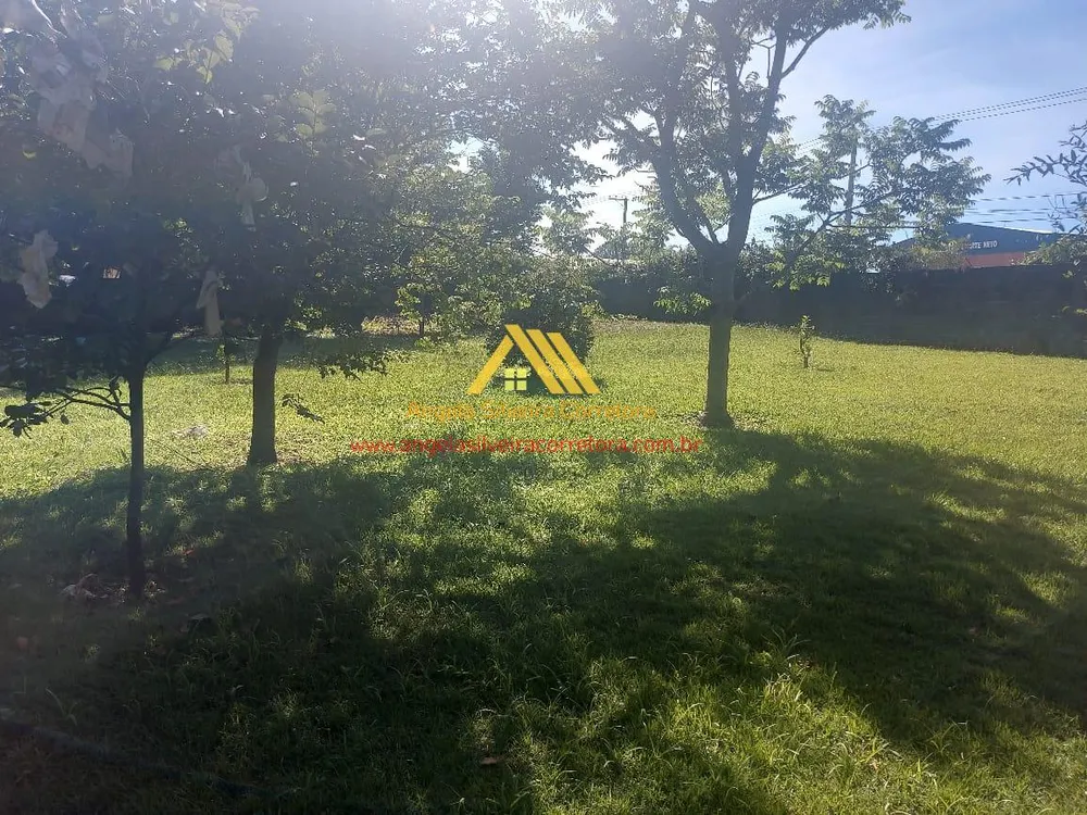 Chácara, 3 quartos, 8000 m² - Foto 3