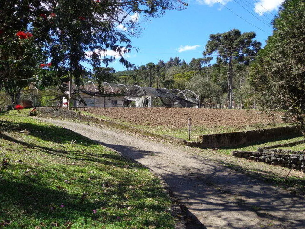 Casa, 5 quartos, 440 m² - Foto 5