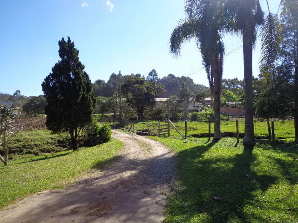 Casa, 5 quartos, 440 m² - Foto 4