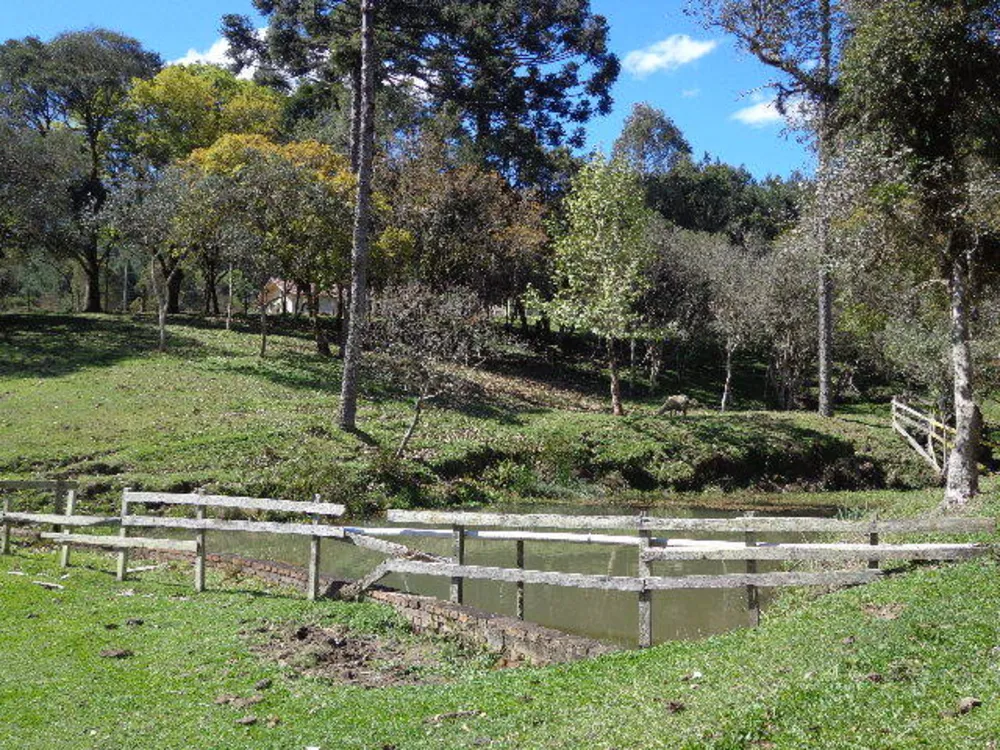 Casa, 5 quartos, 440 m² - Foto 16