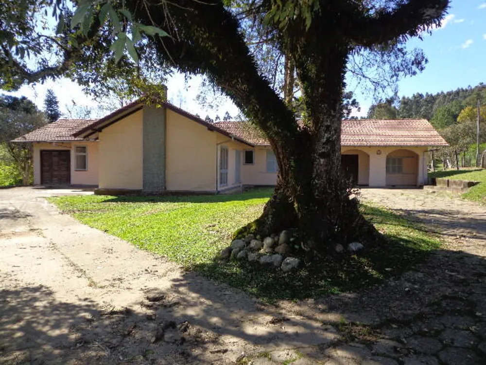 Casa, 5 quartos, 440 m² - Foto 1