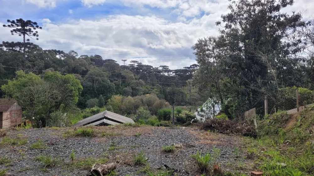 Terreno, 240 m² - Foto 6