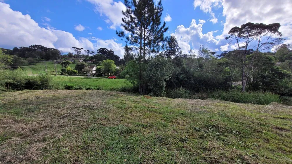 Terreno, 1114 m² - Foto 2