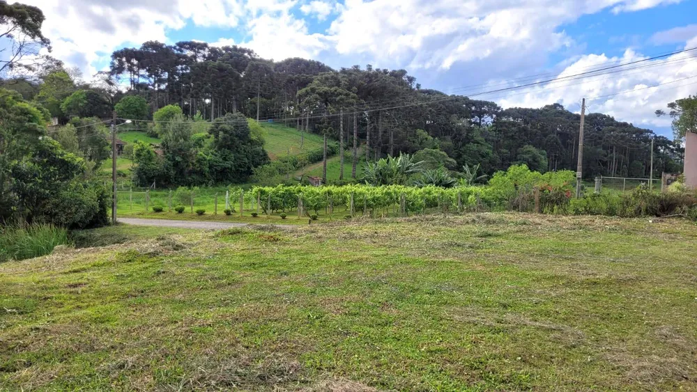 Terreno, 1114 m² - Foto 7