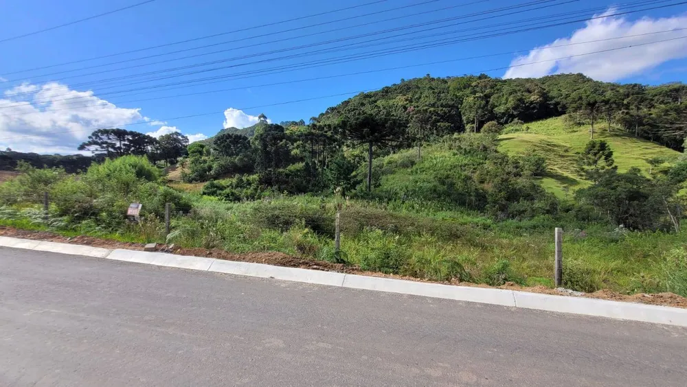 Terreno, 2 hectares - Foto 2