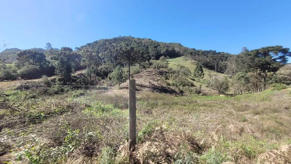 Terreno, 2 hectares - Foto 6