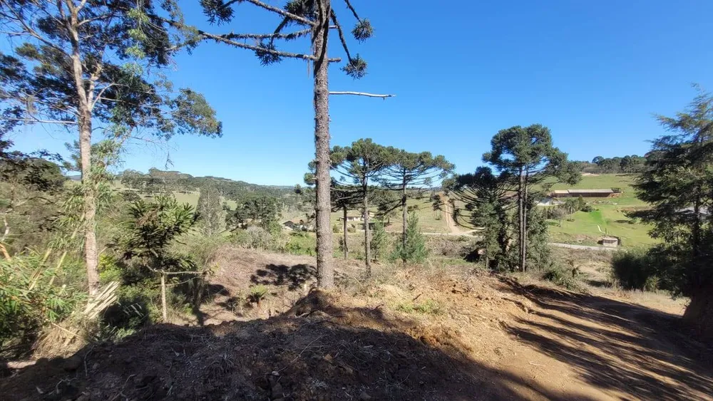 Terreno, 2 hectares - Foto 7