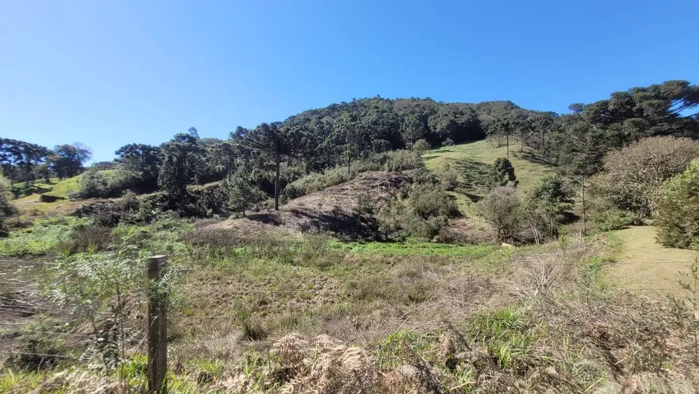 Terreno, 2 hectares - Foto 11