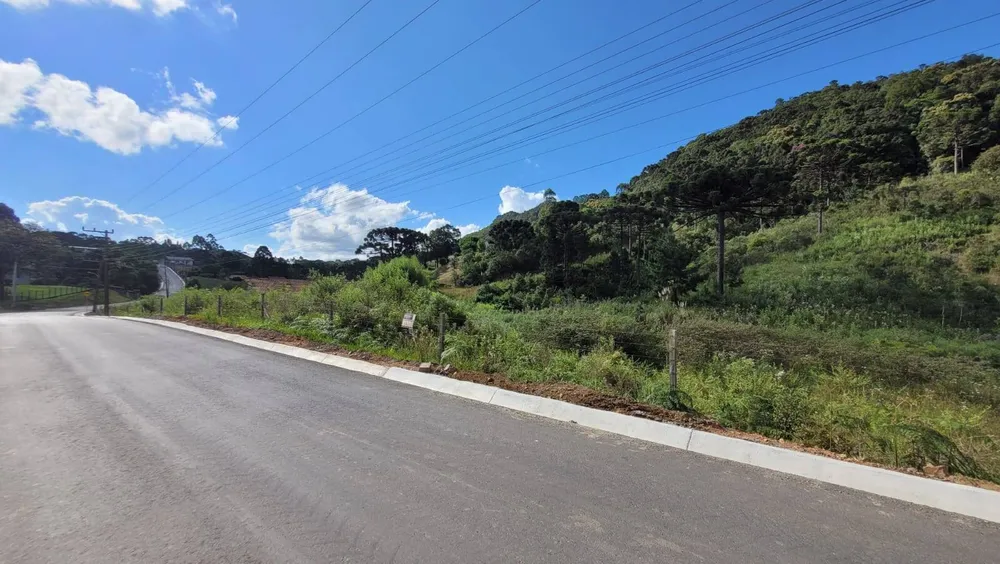 Terreno, 2 hectares - Foto 6