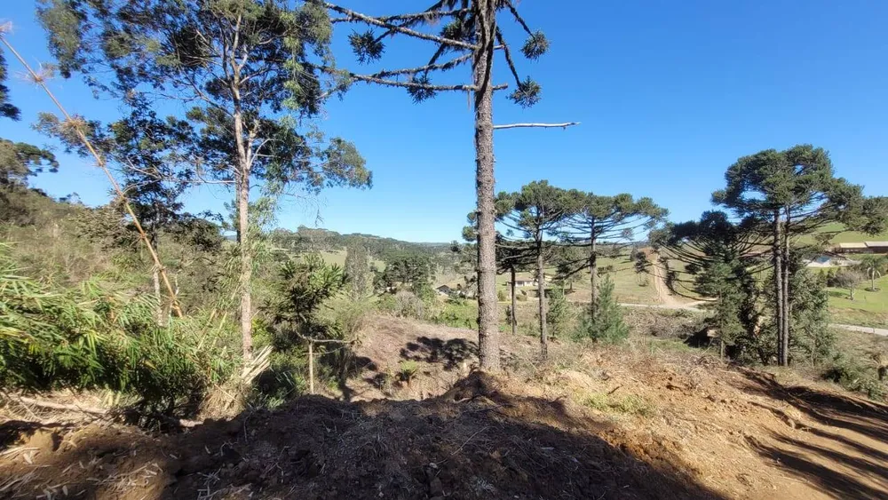 Terreno, 2 hectares - Foto 7