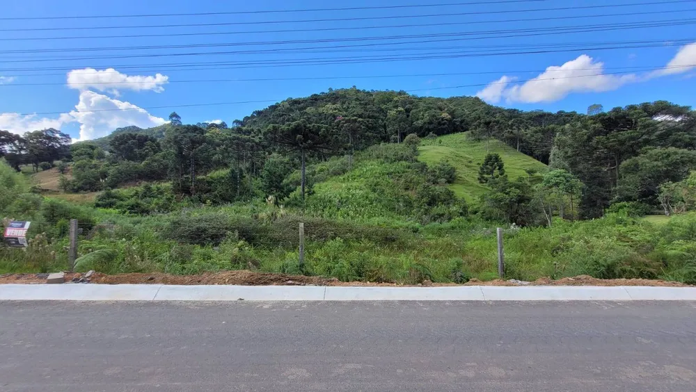 Terreno, 2 hectares - Foto 4
