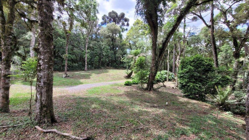 Casa à venda com 2 quartos, 50m² - Foto 3