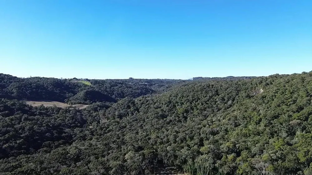Terreno, 15 hectares - Foto 3