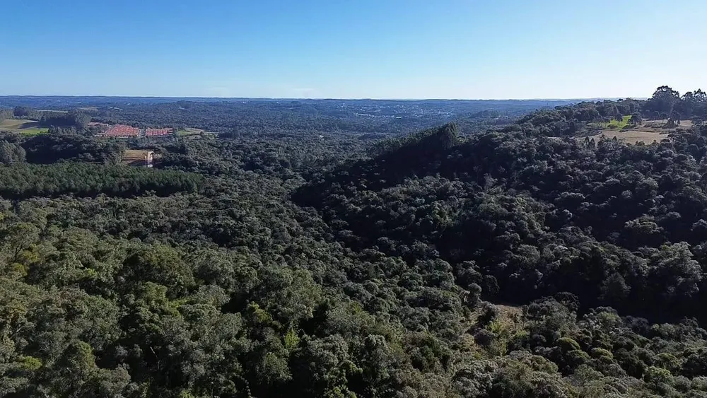Terreno, 15 hectares - Foto 8