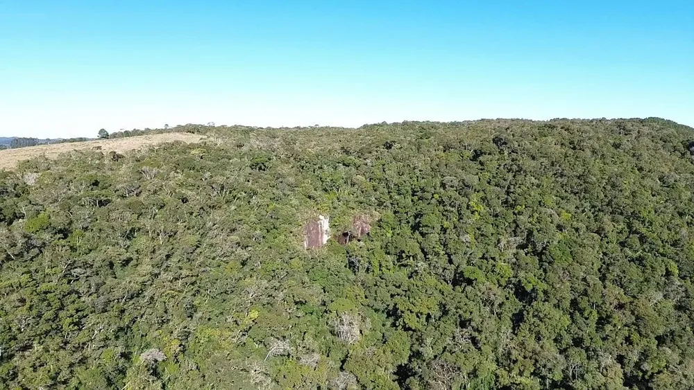 Terreno, 15 hectares - Foto 4