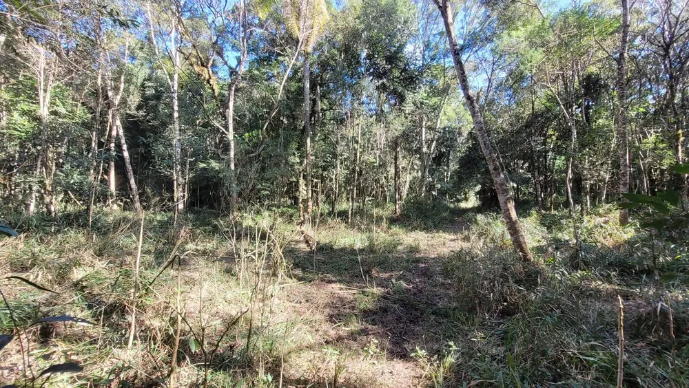 Terreno, 15 hectares - Foto 5