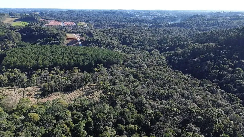 Terreno, 15 hectares - Foto 6