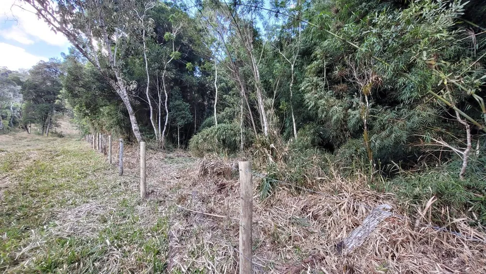 Terreno, 15 hectares - Foto 14