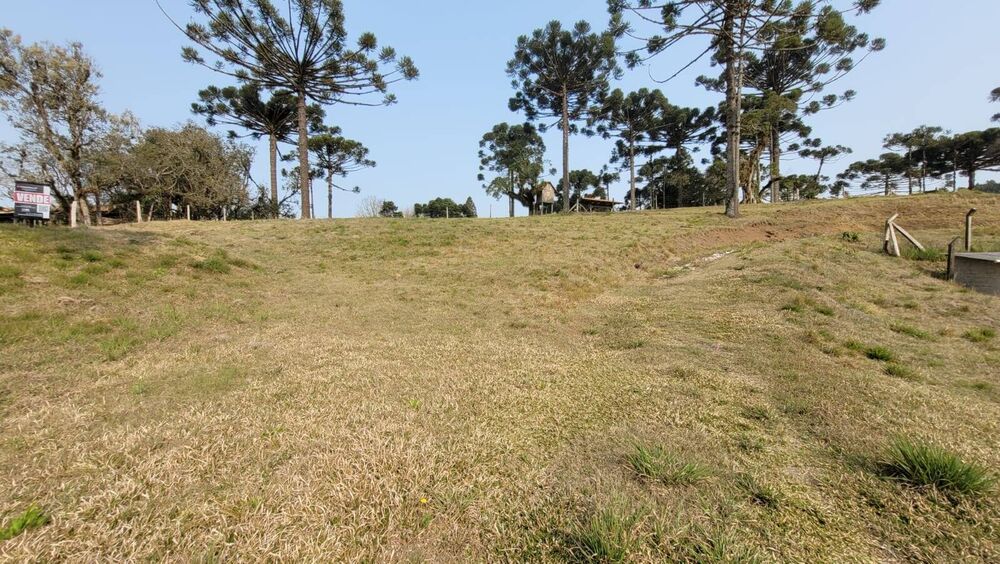 Terreno, 480 m² - Foto 4