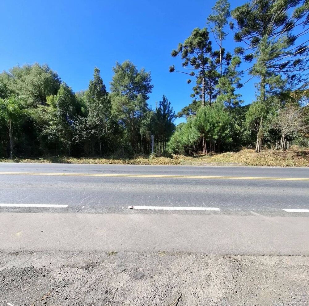 Terreno, 2 hectares - Foto 2