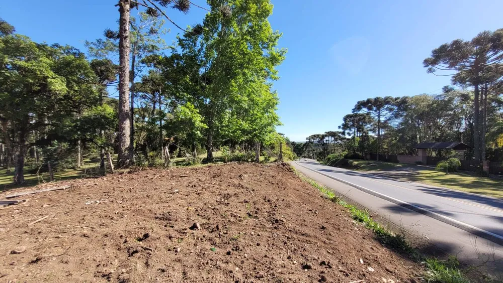 Terreno, 2 hectares - Foto 17