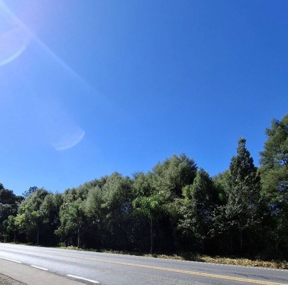 Terreno, 2 hectares - Foto 3