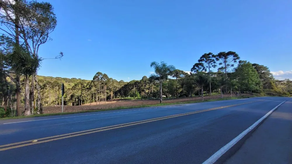 Terreno, 2 hectares - Foto 9