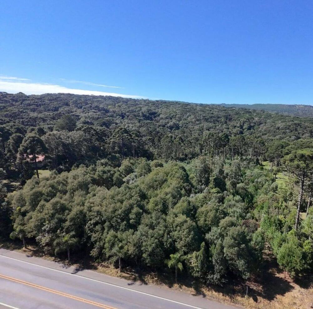 Terreno, 2 hectares - Foto 7