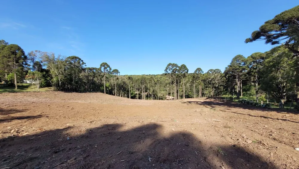 Terreno, 2 hectares - Foto 11