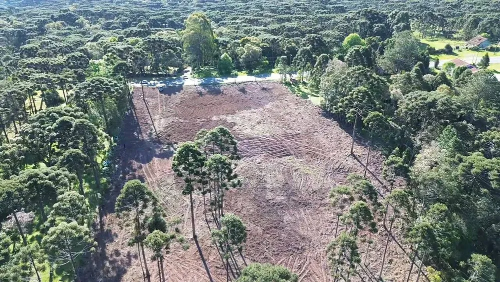 Terreno, 2 hectares - Foto 13