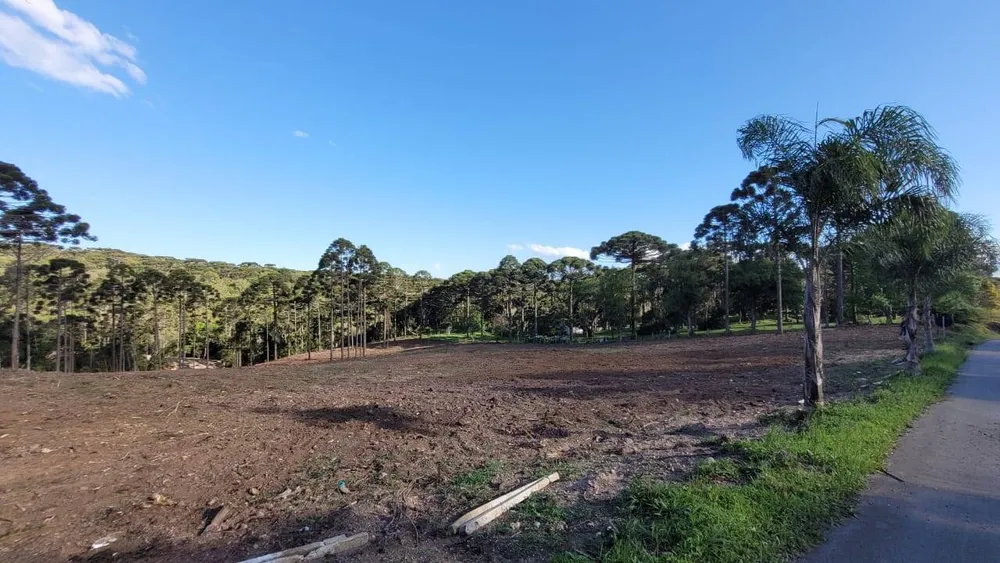 Terreno, 2 hectares - Foto 18