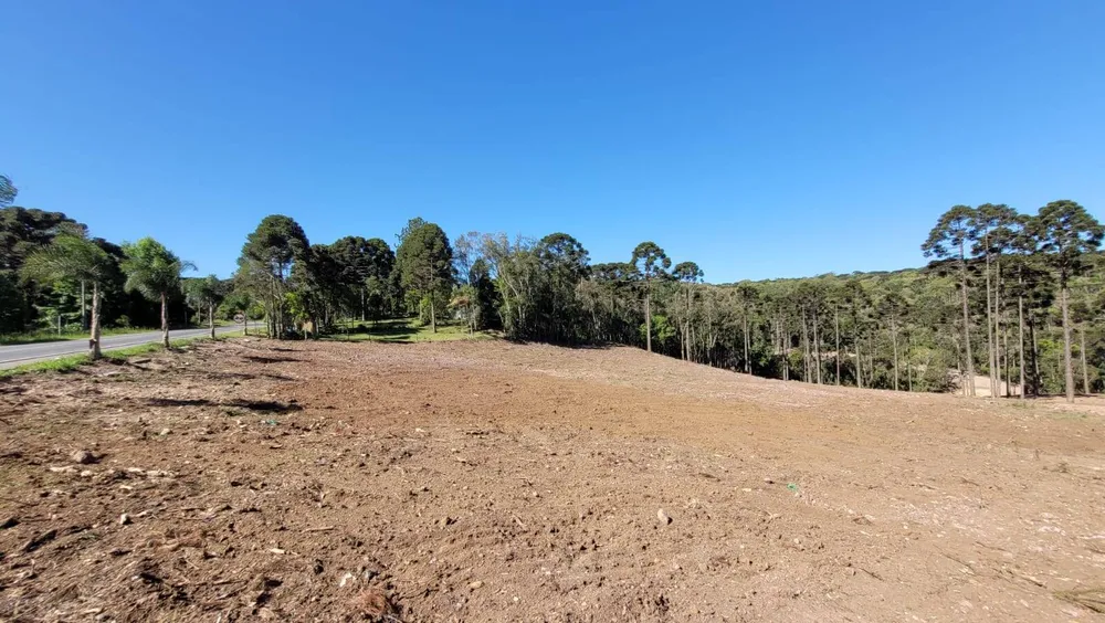 Terreno, 2 hectares - Foto 10