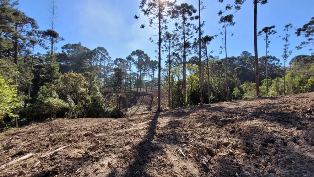 Terreno, 2 hectares - Foto 14