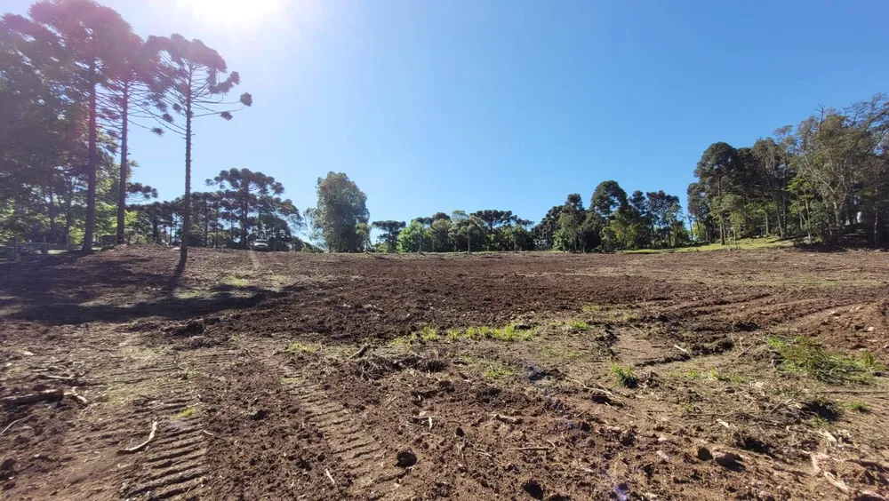Terreno, 2 hectares - Foto 12