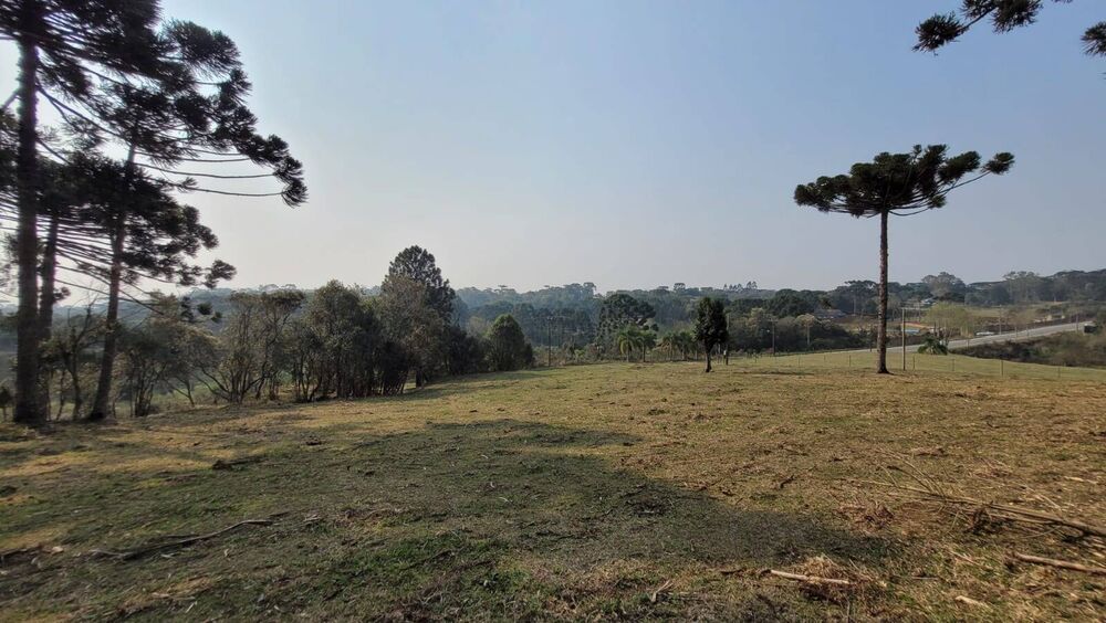 Terreno, 2 hectares - Foto 2