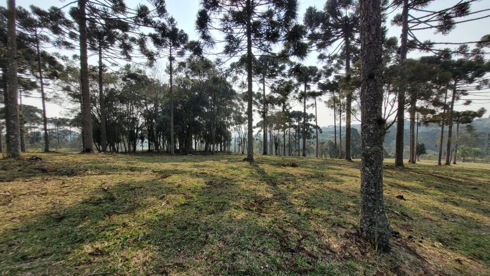 Terreno, 2 hectares - Foto 1