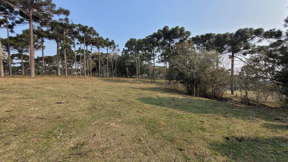 Terreno, 2 hectares - Foto 3