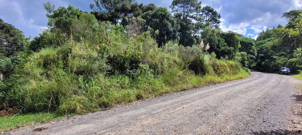 Terreno, 2 hectares - Foto 3