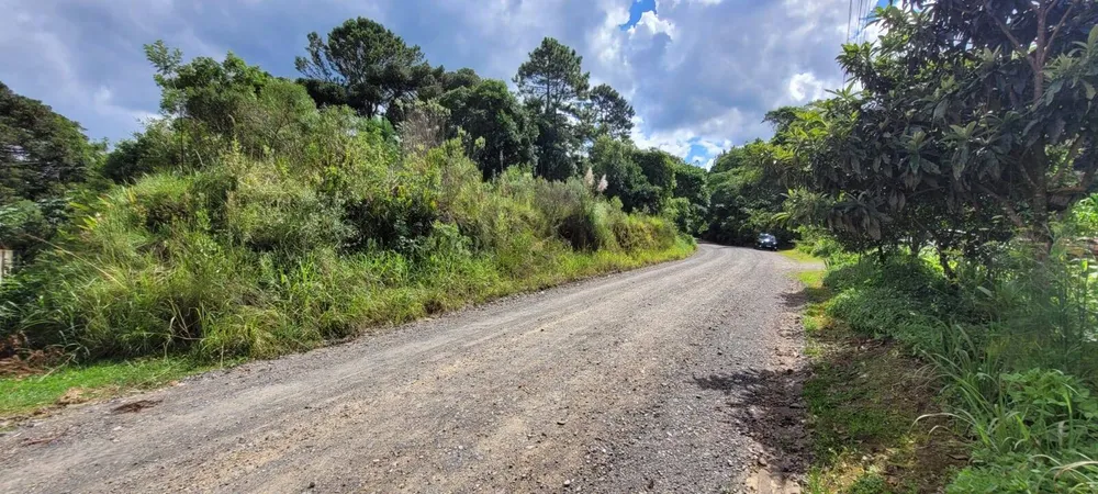 Terreno, 2 hectares - Foto 6